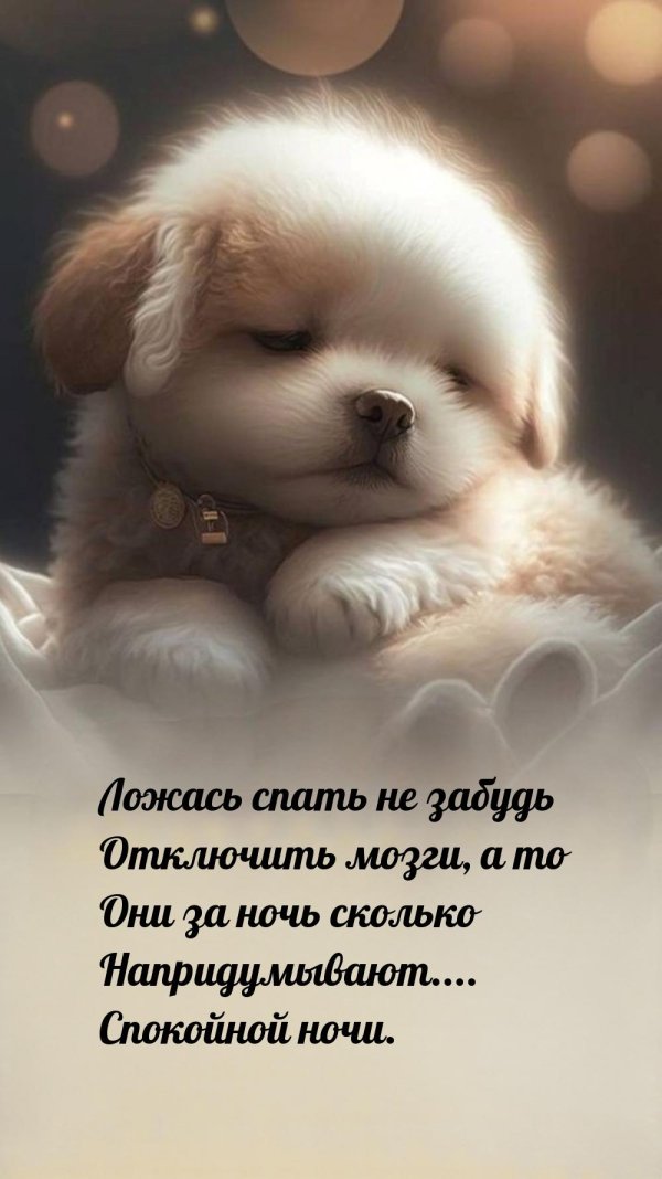 споки ночи