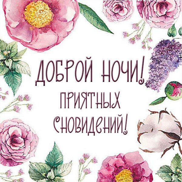 цветок пион