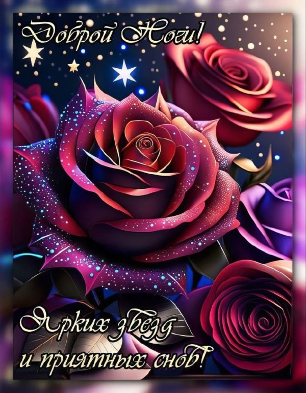 добрая ночь