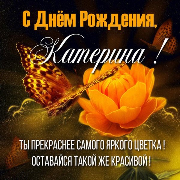 с днем рождения екатерина
