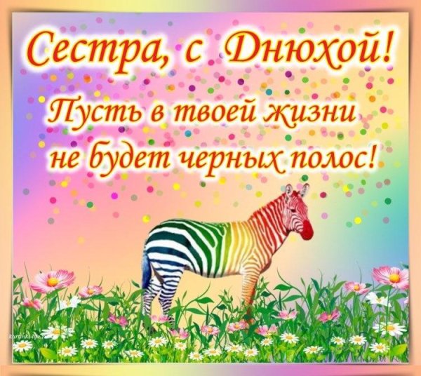 радужная зебра