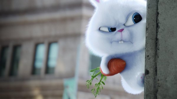 снежок тайная жизнь домашних животных