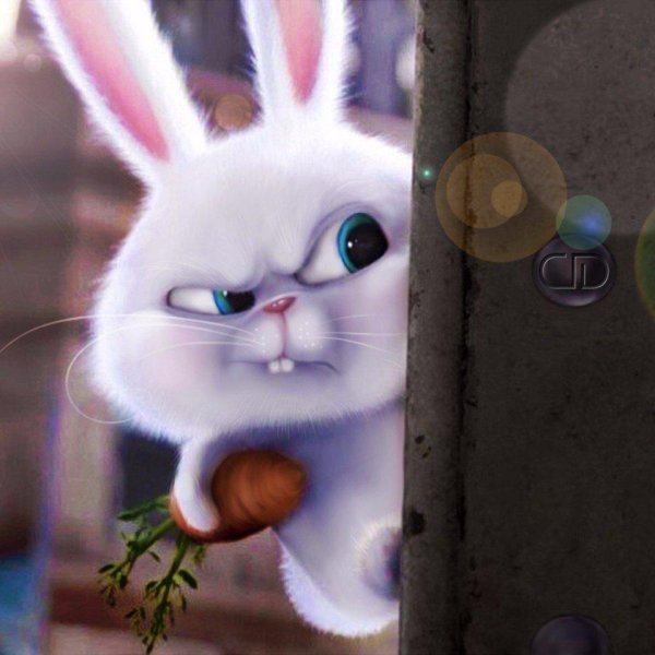 злой зайка из мультика тайная жизнь