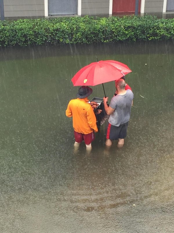 дождливое лето