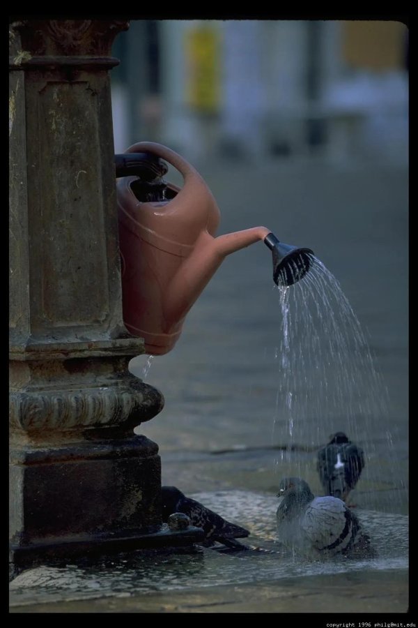 полив лейкой