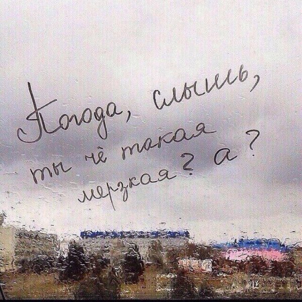 Дождь прикольные