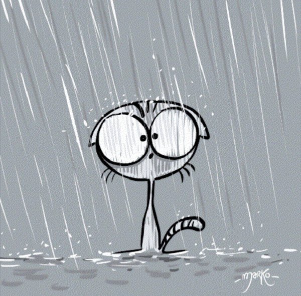 рисованные коты