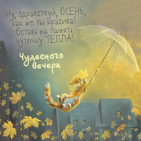 осенней ночи