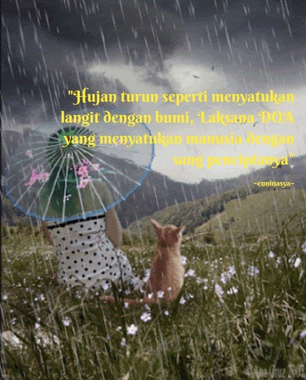 дождливого утра