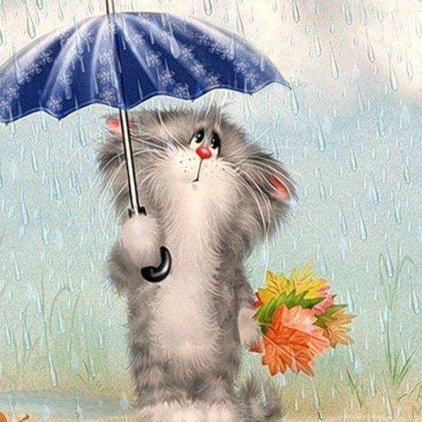 доброго дождливого утра