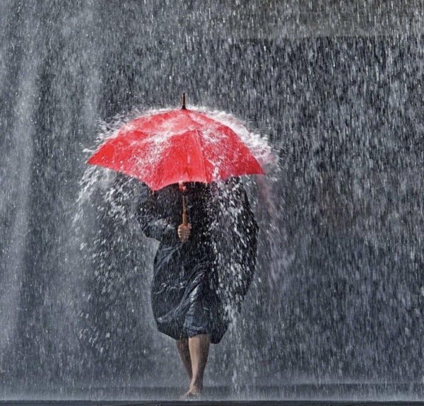 дождливые дни