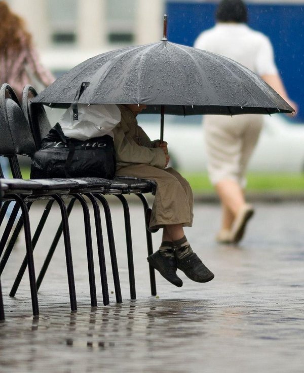 дождливые дни