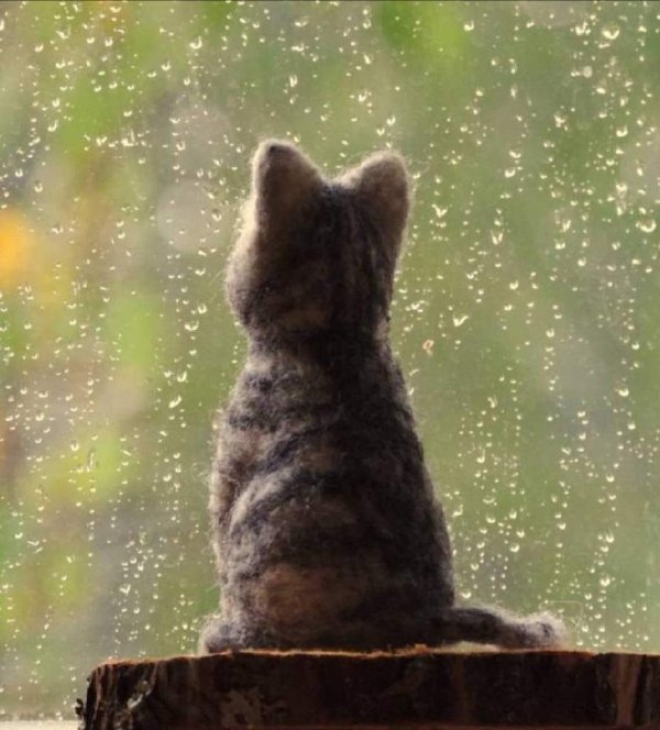 настроение дождь