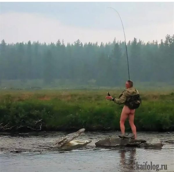 путин и шойгу на отдыхе в туве