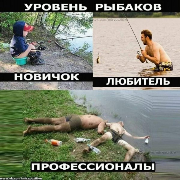 рыбаки новичок любитель профессионал