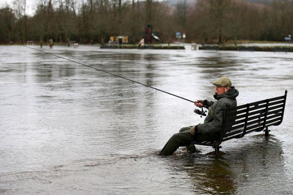 рыболовные приколы