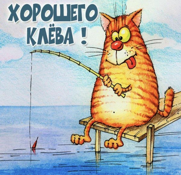 ловись рыбка