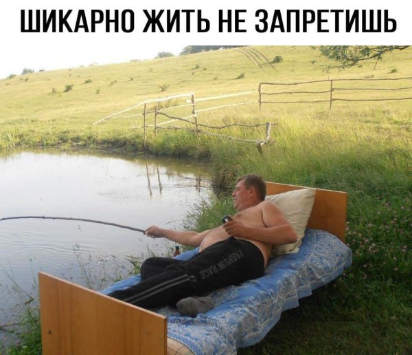 самые свежие приколы