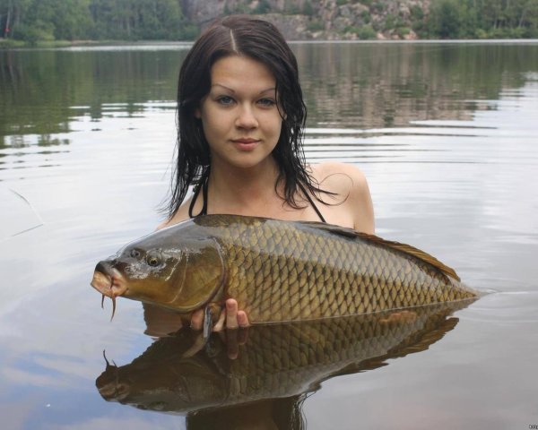 рыба карп