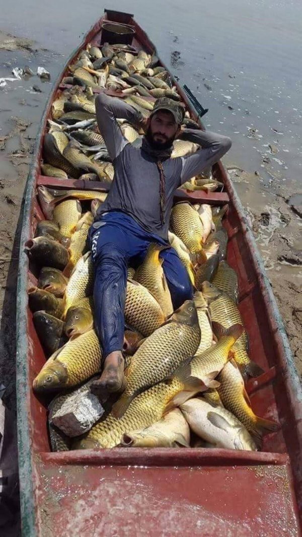 смешной улов