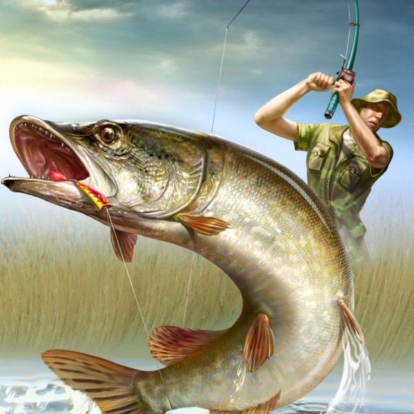 картина щука