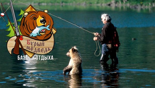 медведь рыбачит