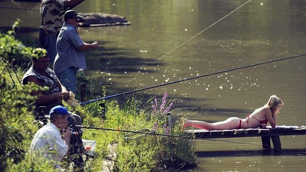 платная рыбалка