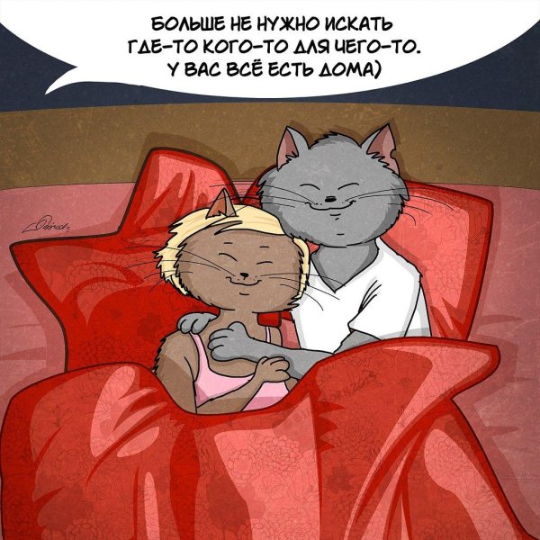 кот степан бирд борн