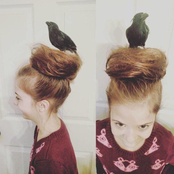 прикольные причёски для девочек