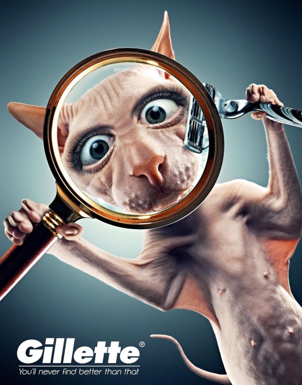 Искать прикольные