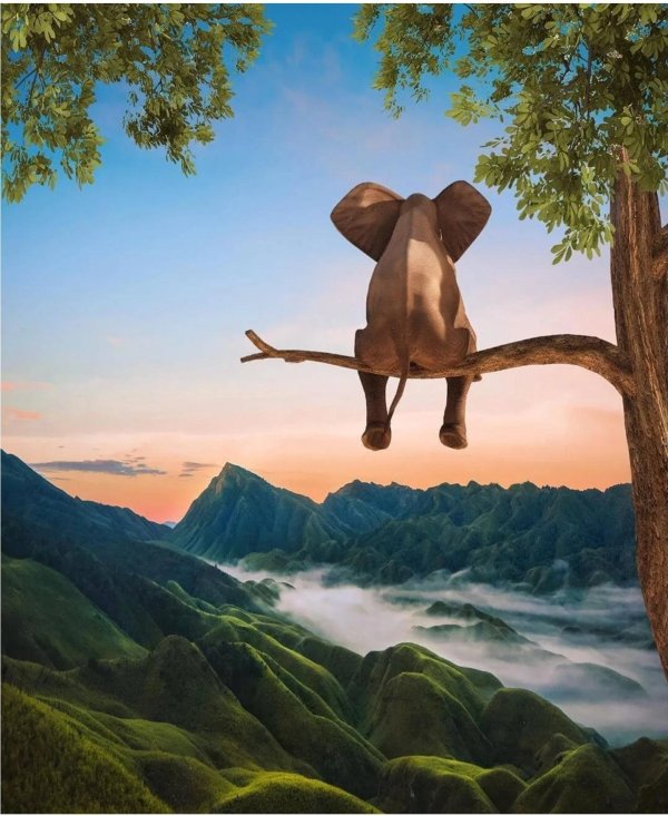 спокойствие и умиротворение