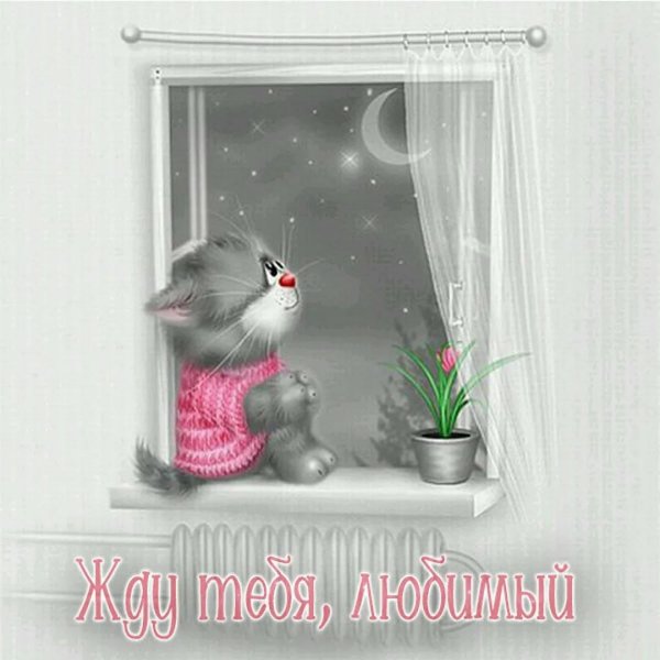 художник алексей долотов xenopus