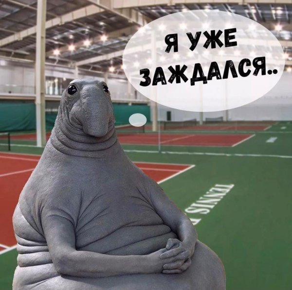 режим ждуна