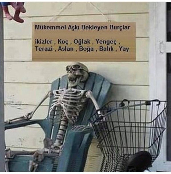 человеческий скелет