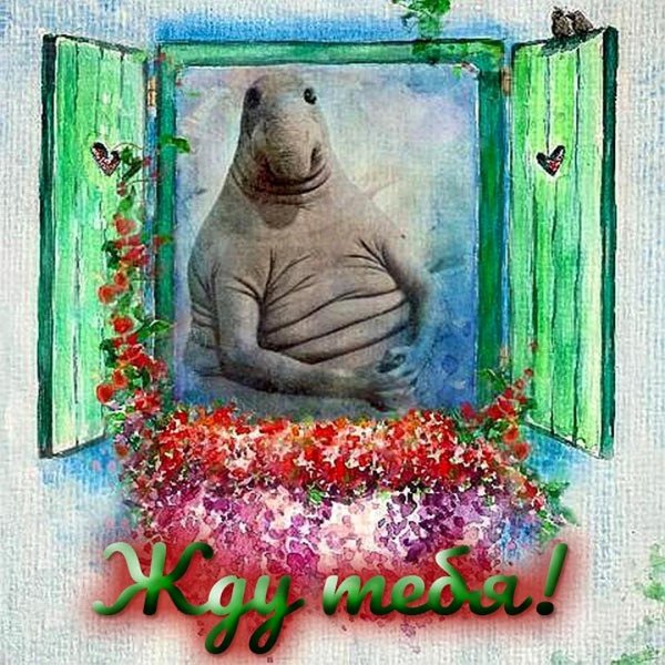 ждун ждет весну