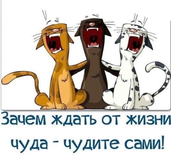 смешное трио