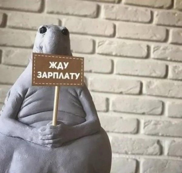 ждем зарплату
