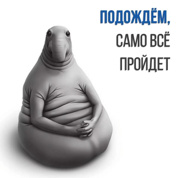 режим ждуна