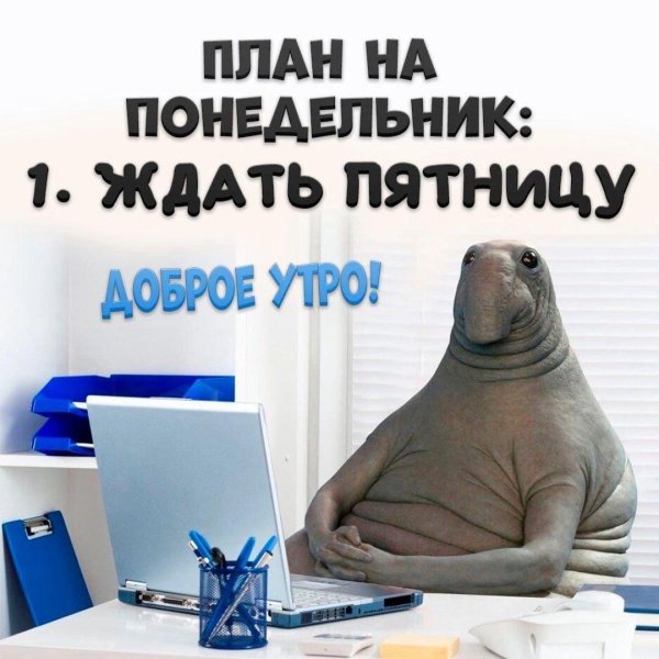 доброе утро понедельника смешные