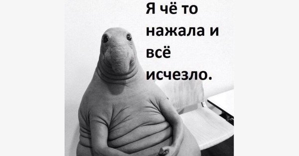 ждун стикер