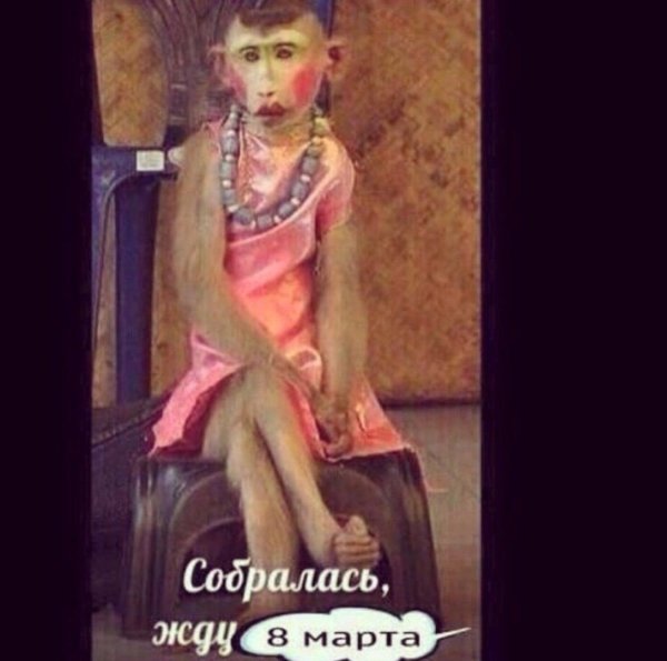 собралась жду 8 марта