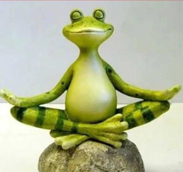 лягушка медитирует