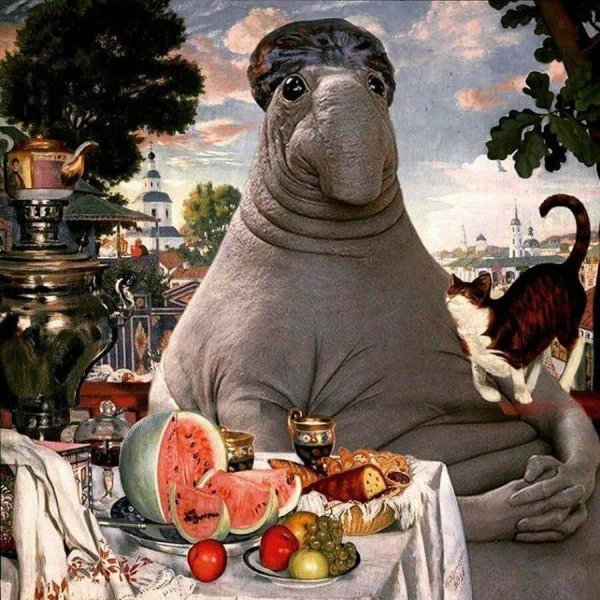 ждун купчиха