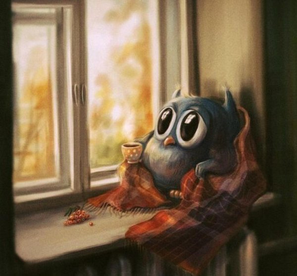 грустная сова