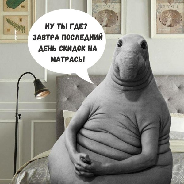 ждун оригинал