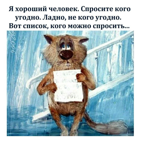 цитаты про котов