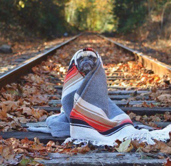 уходило лето