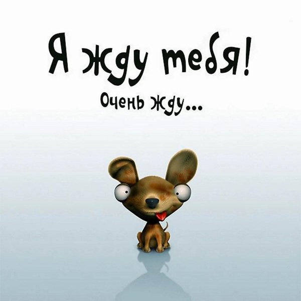 прикольные рисунки с надписями