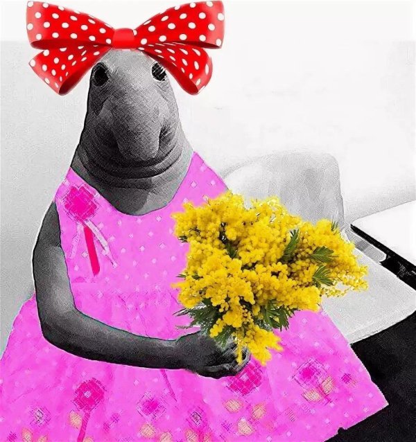 ждун девочка