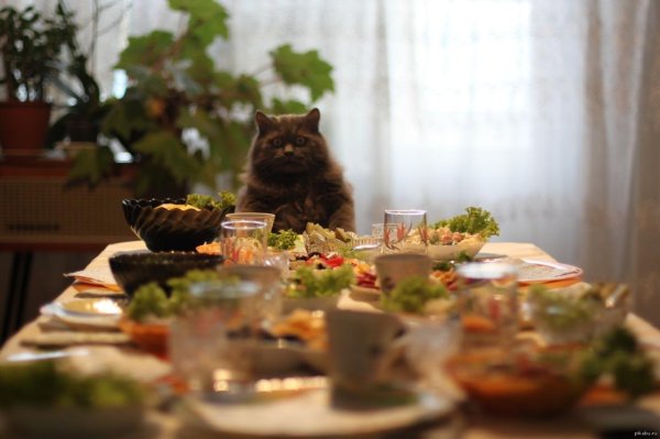 праздников праздник